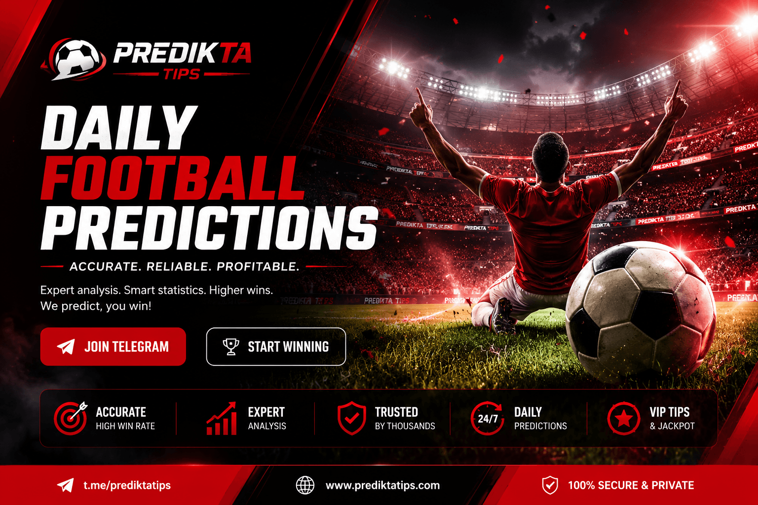 Predikta Tips football predictions and betting tips banner
